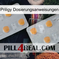 Priligy Dosage Instructions 25